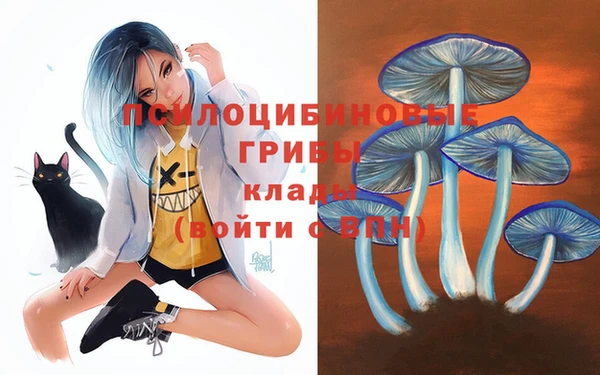 mdma Киреевск