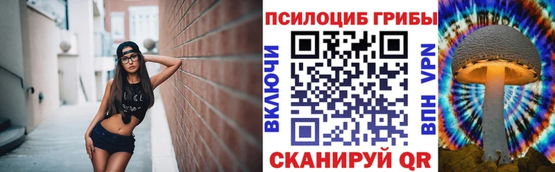 как найти закладки  мориарти телеграм  Галлюциногенные грибы ЛСД  Ногинск 
