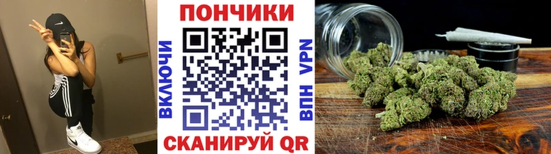 Марихуана план  Ногинск 